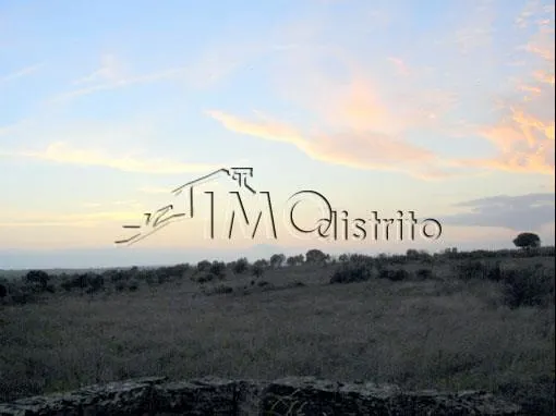 Terreno Rstico T0 - Esprito Santo, Nisa, Portalegre - Miniatura: 2/9