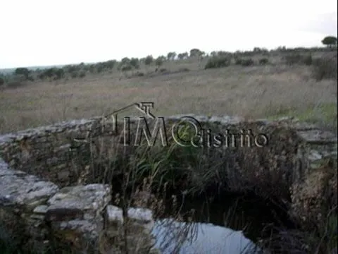 Terreno Rstico T0 - Esprito Santo, Nisa, Portalegre - Miniatura: 9/9