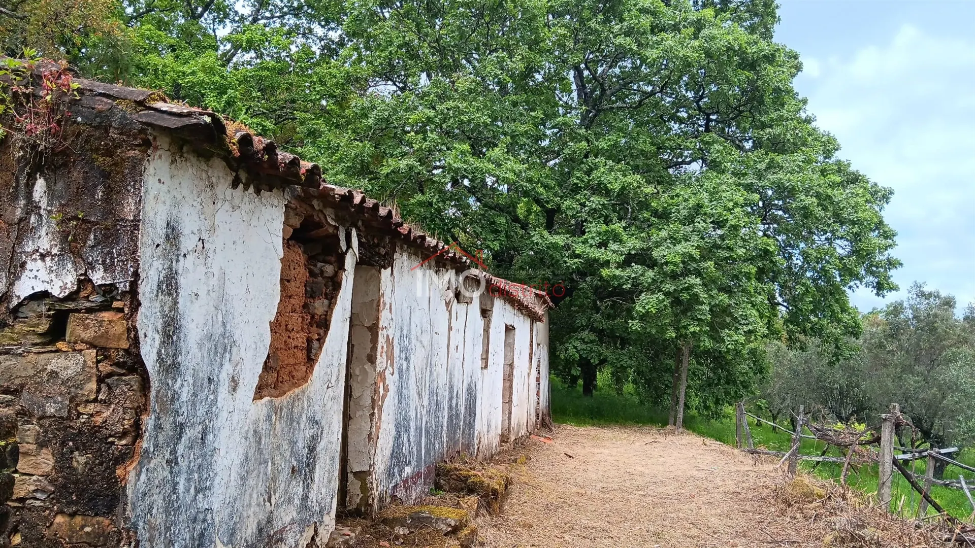 Quinta T5 - So Salvador da Aramenha, Marvo, Portalegre - Miniatura: 1/9