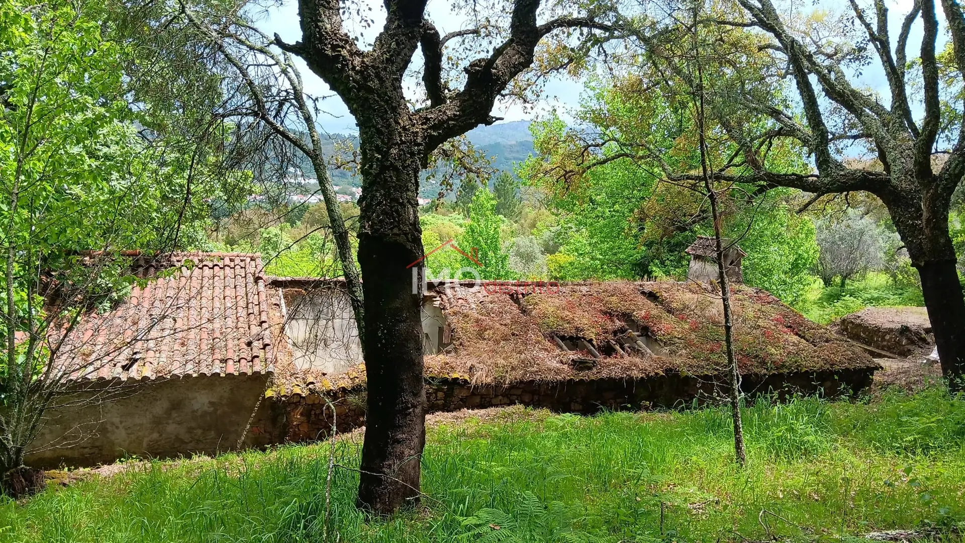 Quinta T5 - So Salvador da Aramenha, Marvo, Portalegre - Miniatura: 2/9