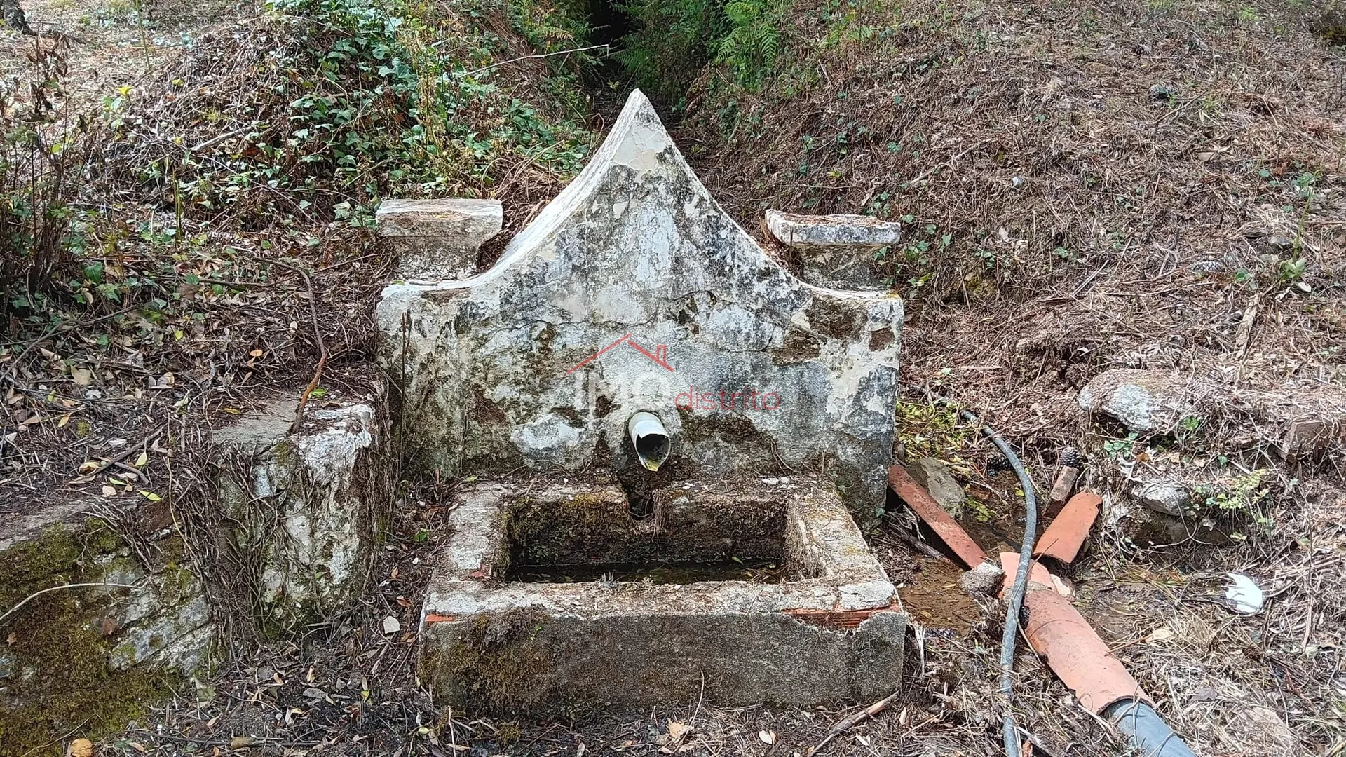 Quinta T5 - So Salvador da Aramenha, Marvo, Portalegre - Miniatura: 8/9