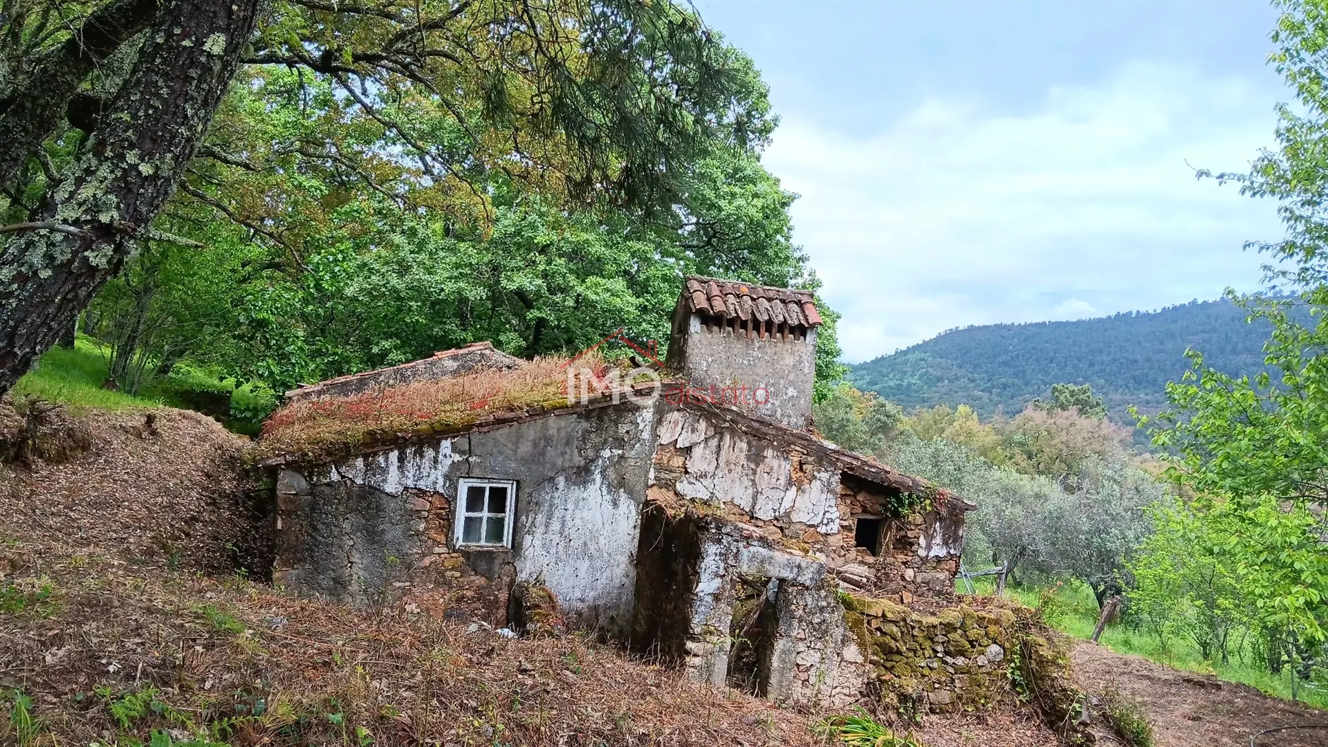 Quinta T5 - So Salvador da Aramenha, Marvo, Portalegre - Miniatura: 9/9