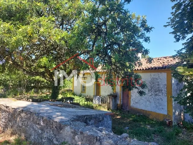 Quinta T3 - Ribeira de Nisa, Portalegre, Portalegre