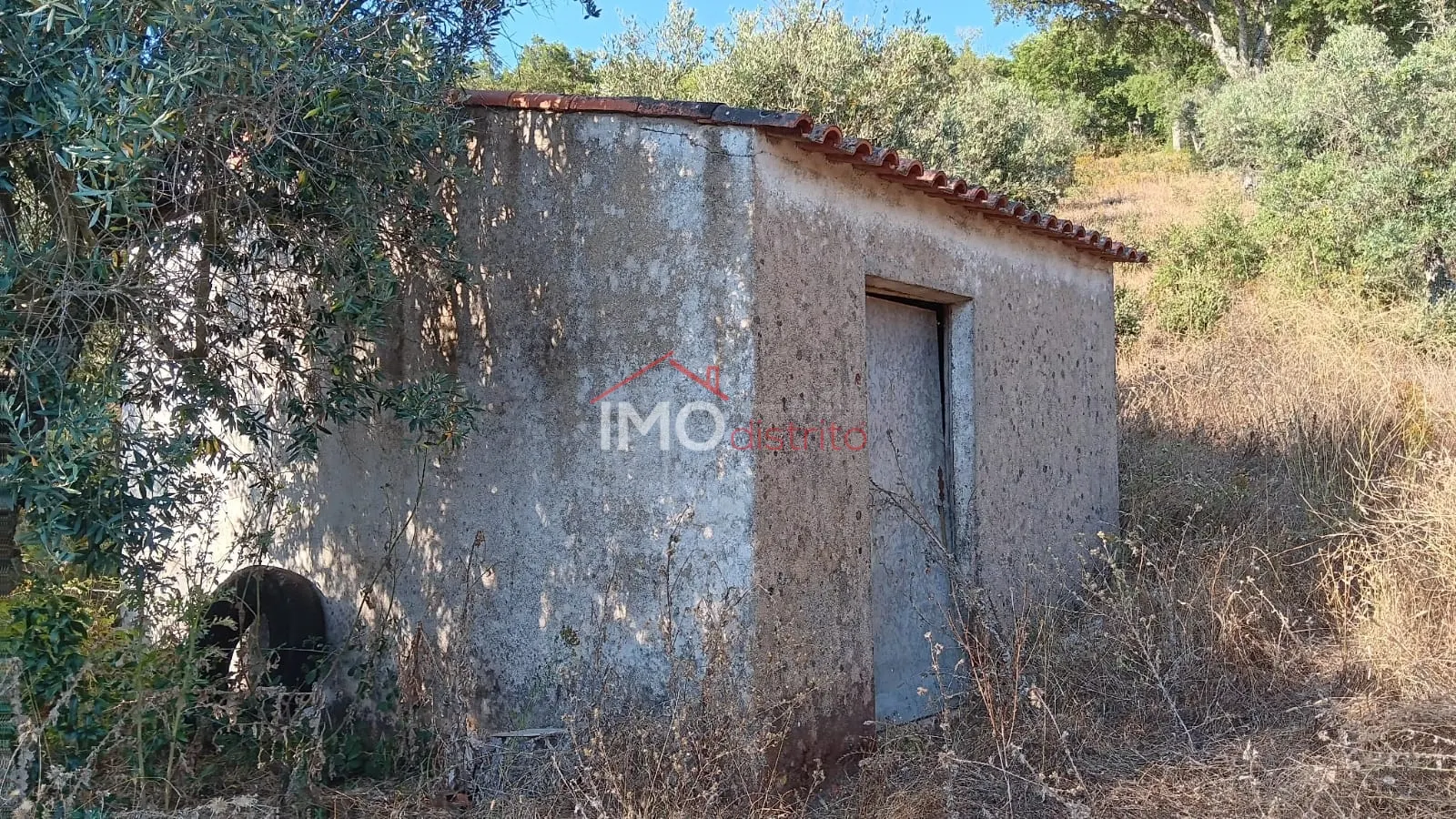 Terreno Rstico T0 - So Salvador da Aramenha, Marvo, Portalegre