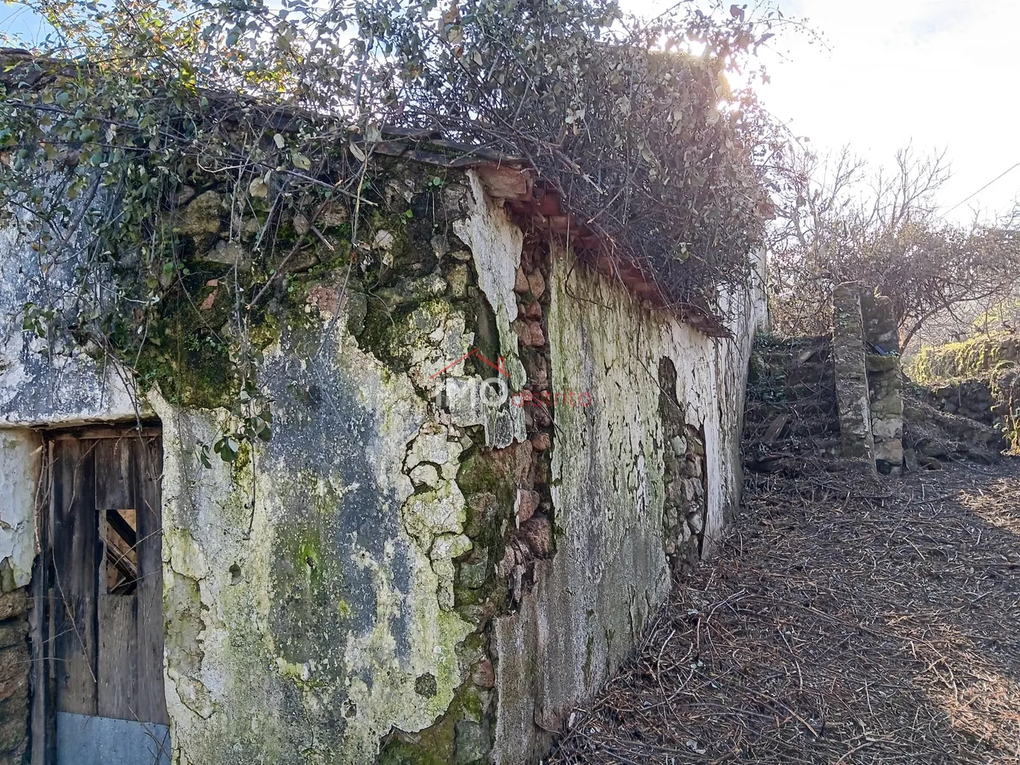 Quinta T4 - Santa Maria de Marvo, Marvo, Portalegre - Miniatura: 5/9
