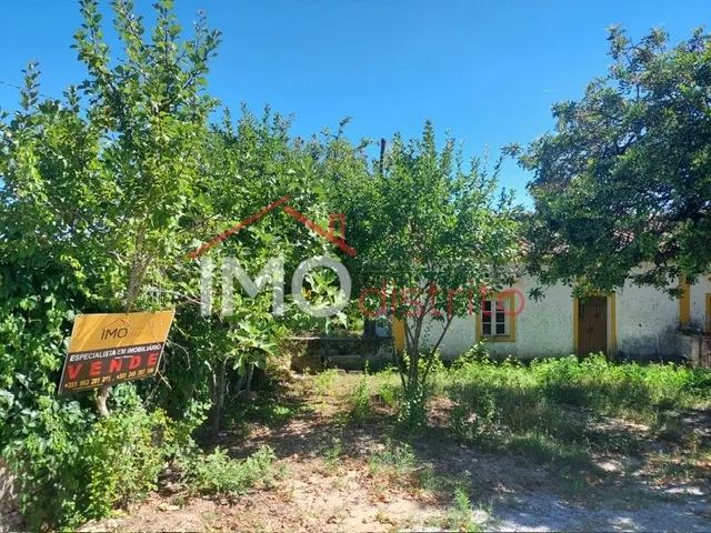 Quinta T3 - Ribeira de Nisa, Portalegre, Portalegre - Miniatura: 1/9