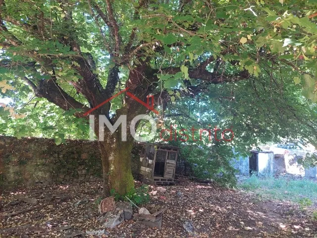 Quinta T3 - Ribeira de Nisa, Portalegre, Portalegre - Miniatura: 2/9