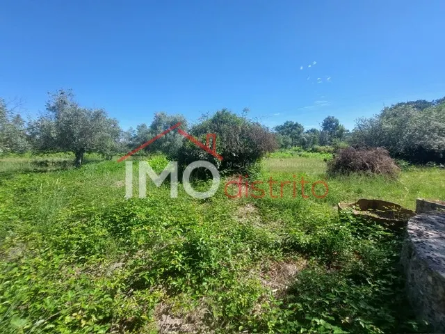 Quinta T3 - Ribeira de Nisa, Portalegre, Portalegre - Miniatura: 5/9
