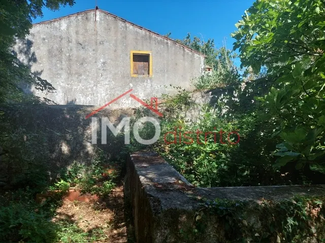 Quinta T3 - Ribeira de Nisa, Portalegre, Portalegre - Miniatura: 6/9