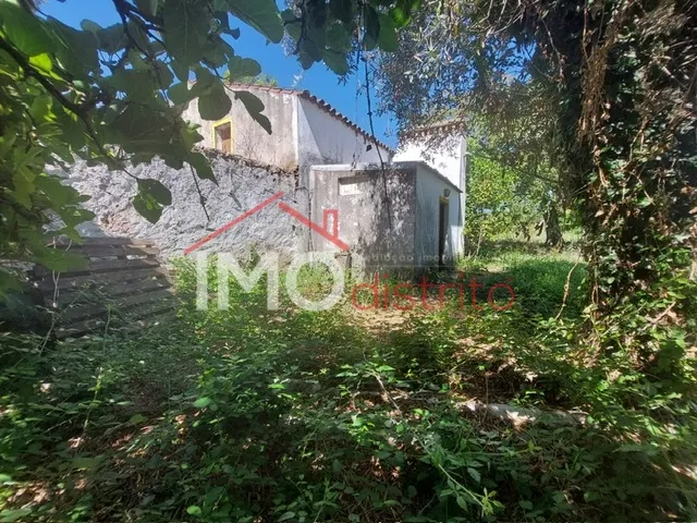 Quinta T3 - Ribeira de Nisa, Portalegre, Portalegre - Miniatura: 8/9