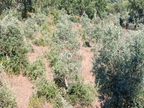 Terreno Rstico T0 - So Salvador da Aramenha, Marvo, Portalegre - Miniatura: 8/9