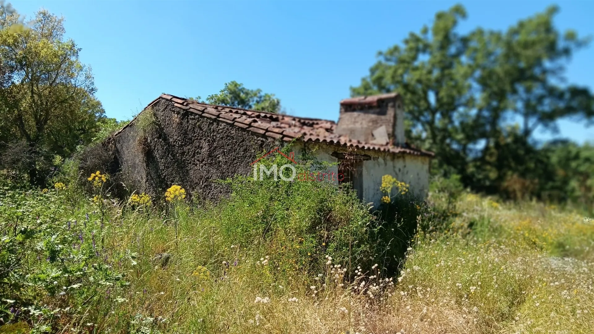 Quinta T0 - So Salvador da Aramenha, Marvo, Portalegre - Miniatura: 2/9