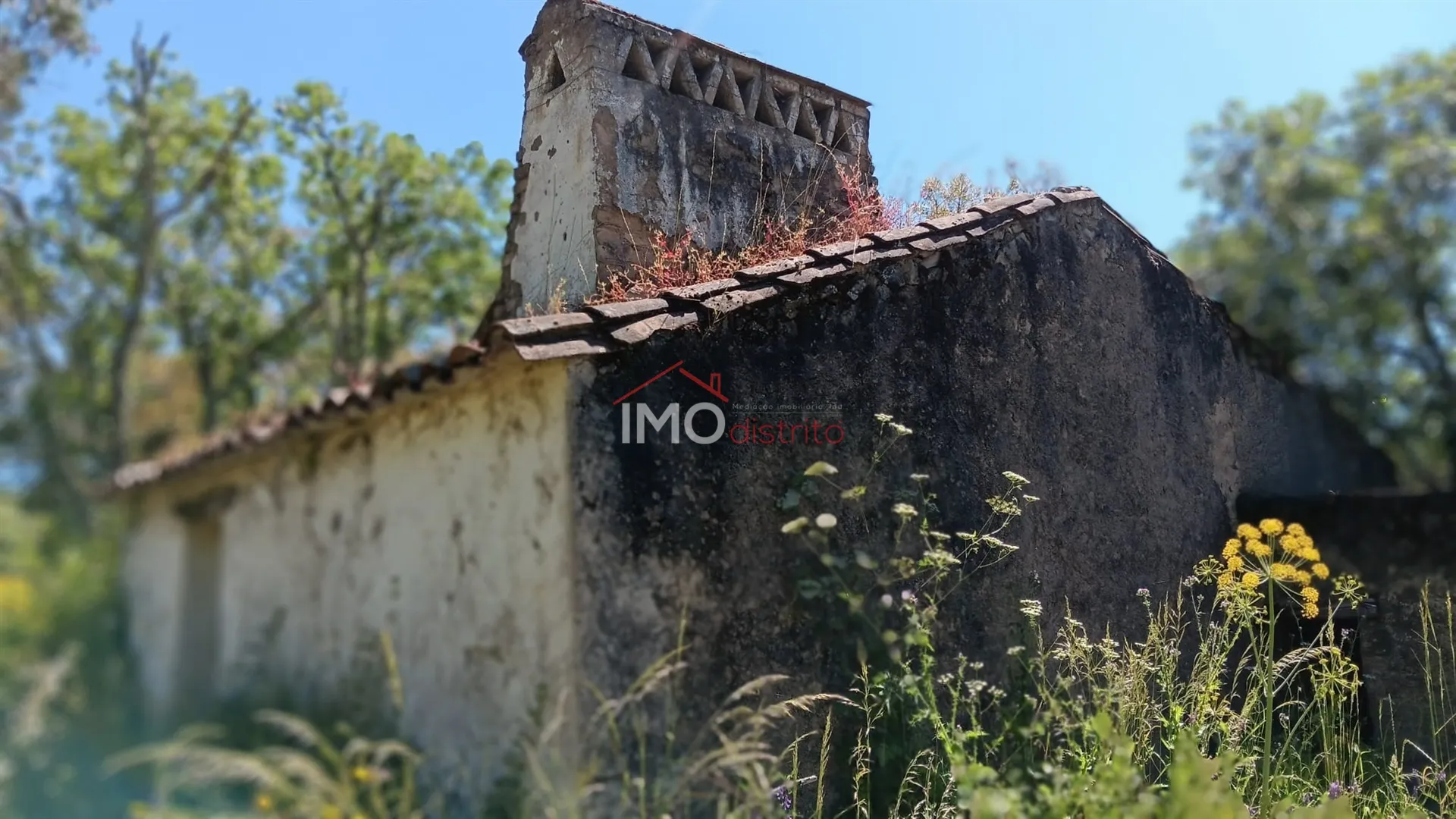 Quinta T0 - So Salvador da Aramenha, Marvo, Portalegre - Miniatura: 3/9