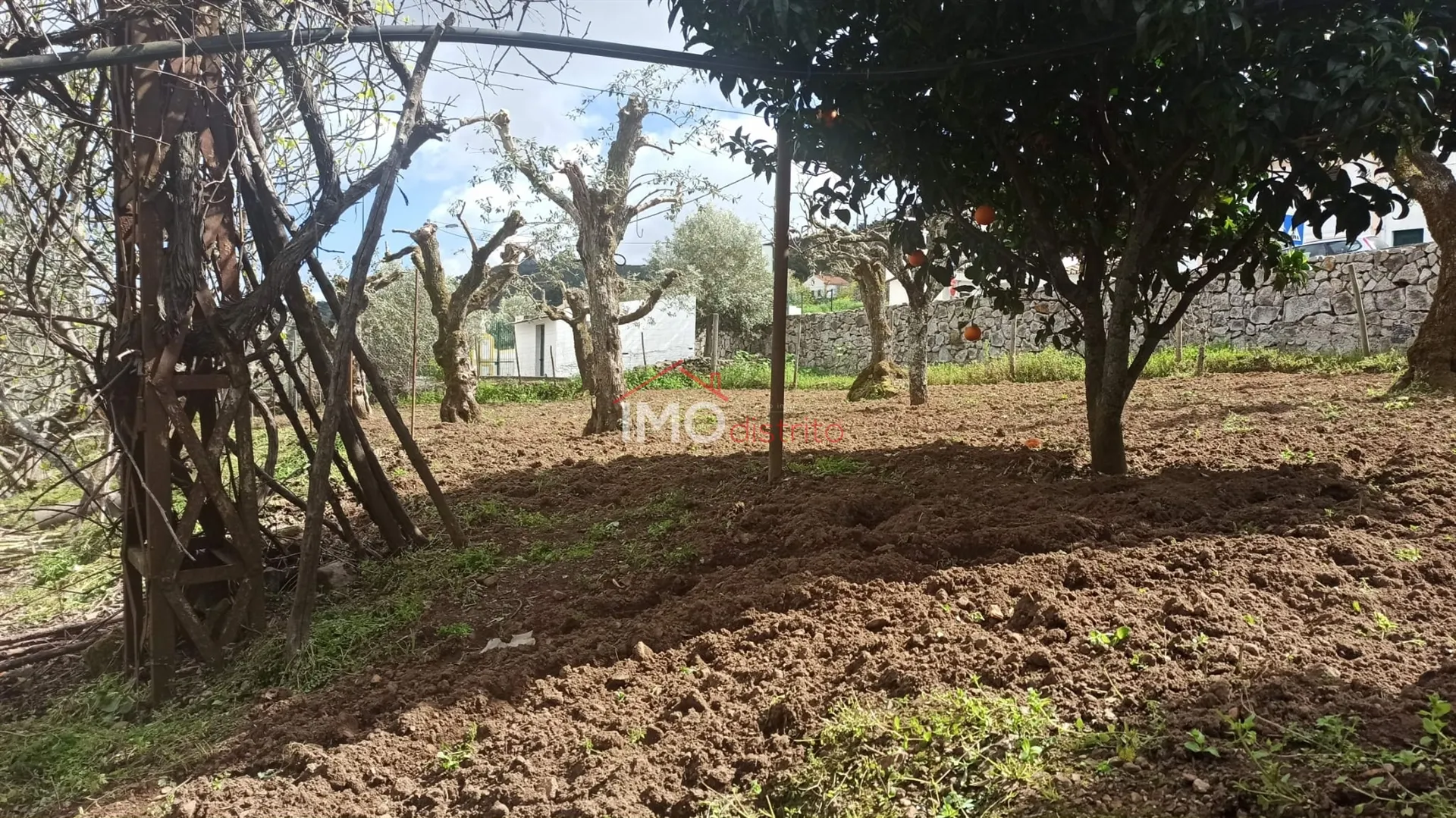 Moradia T3 - So Joo Batista, Castelo de Vide, Portalegre - Miniatura: 6/9