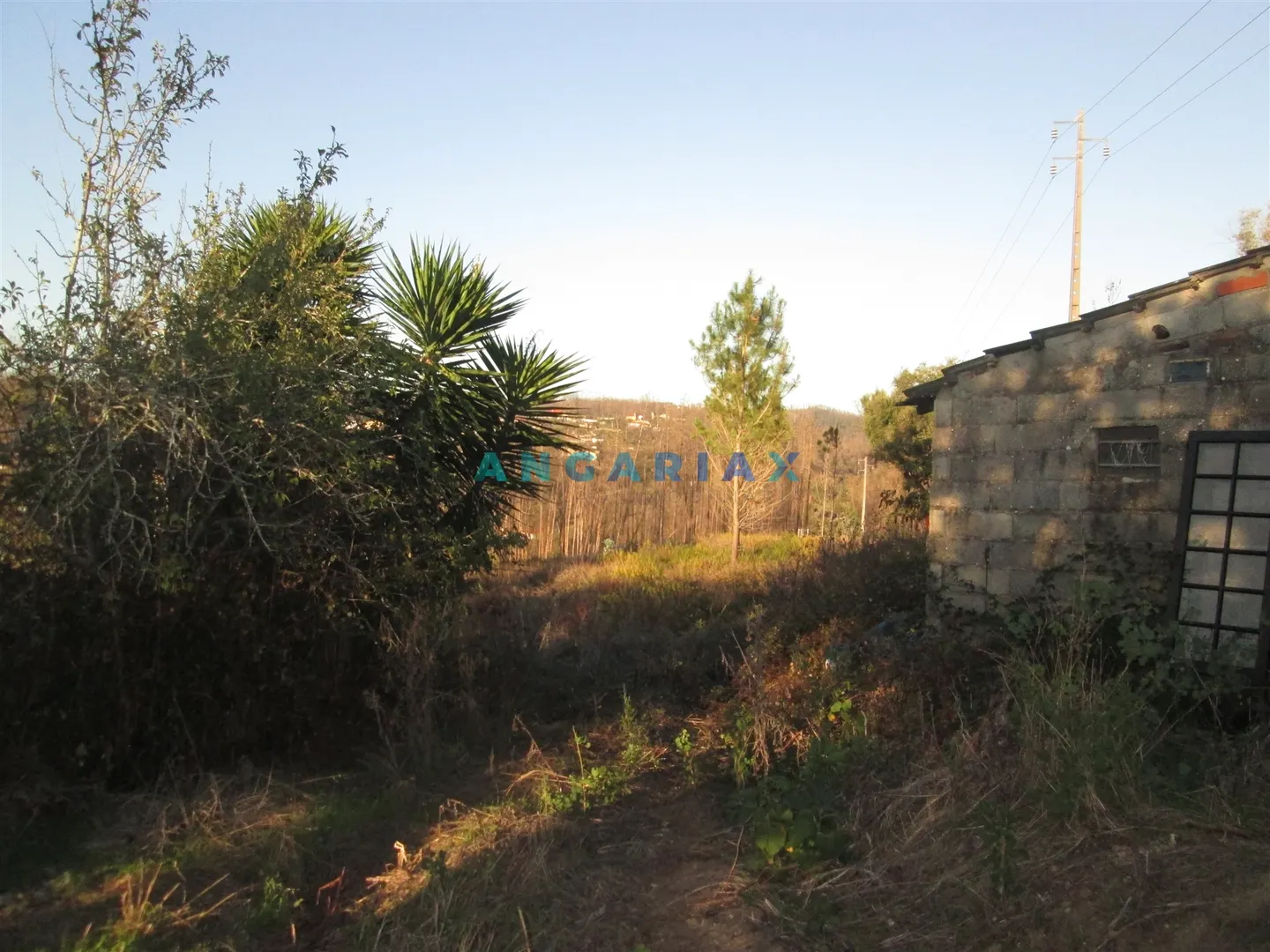 Terreno Urbano T0 - Colmeias, Leiria, Leiria - Imagem grande