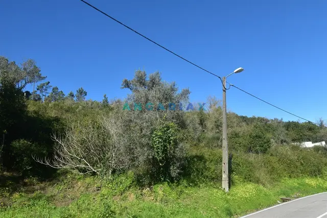 Terreno Urbano T0 - Santa Clara, Coimbra, Coimbra - Imagem grande