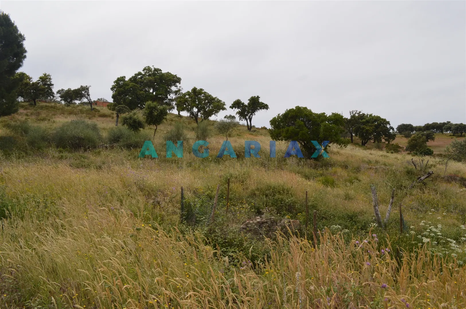 Terreno Urbano T0 - Rosmaninhal, Idanha-a-Nova, Castelo Branco - Imagem grande