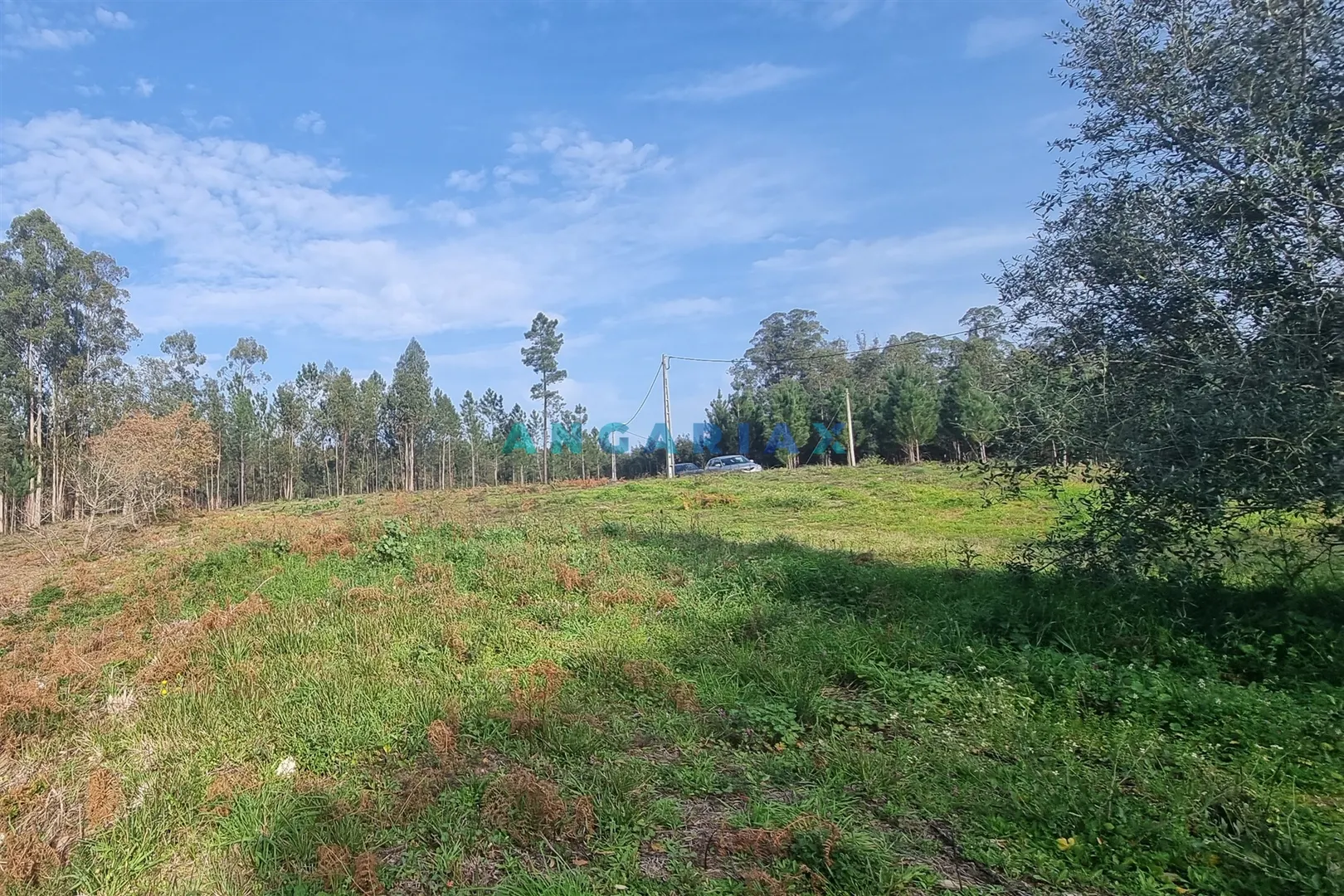 Terreno Urbano T0 - Maceira, Leiria, Leiria