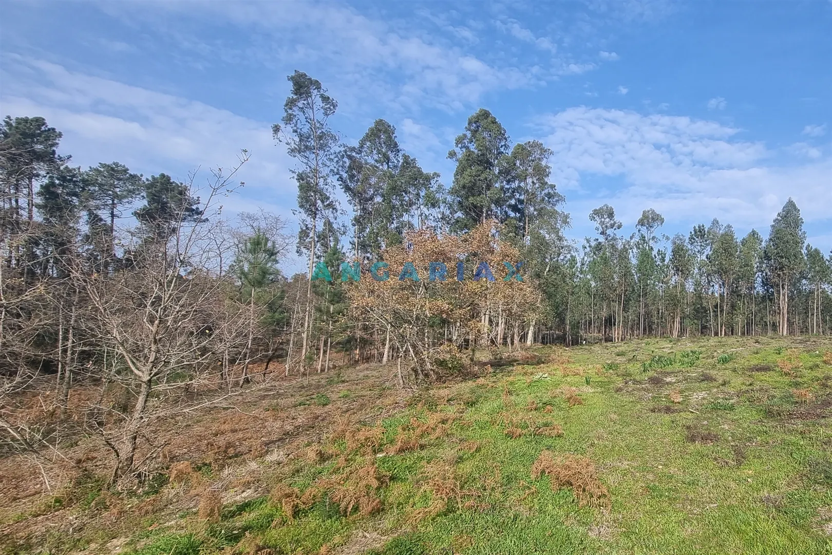 Terreno Urbano T0 - Maceira, Leiria, Leiria