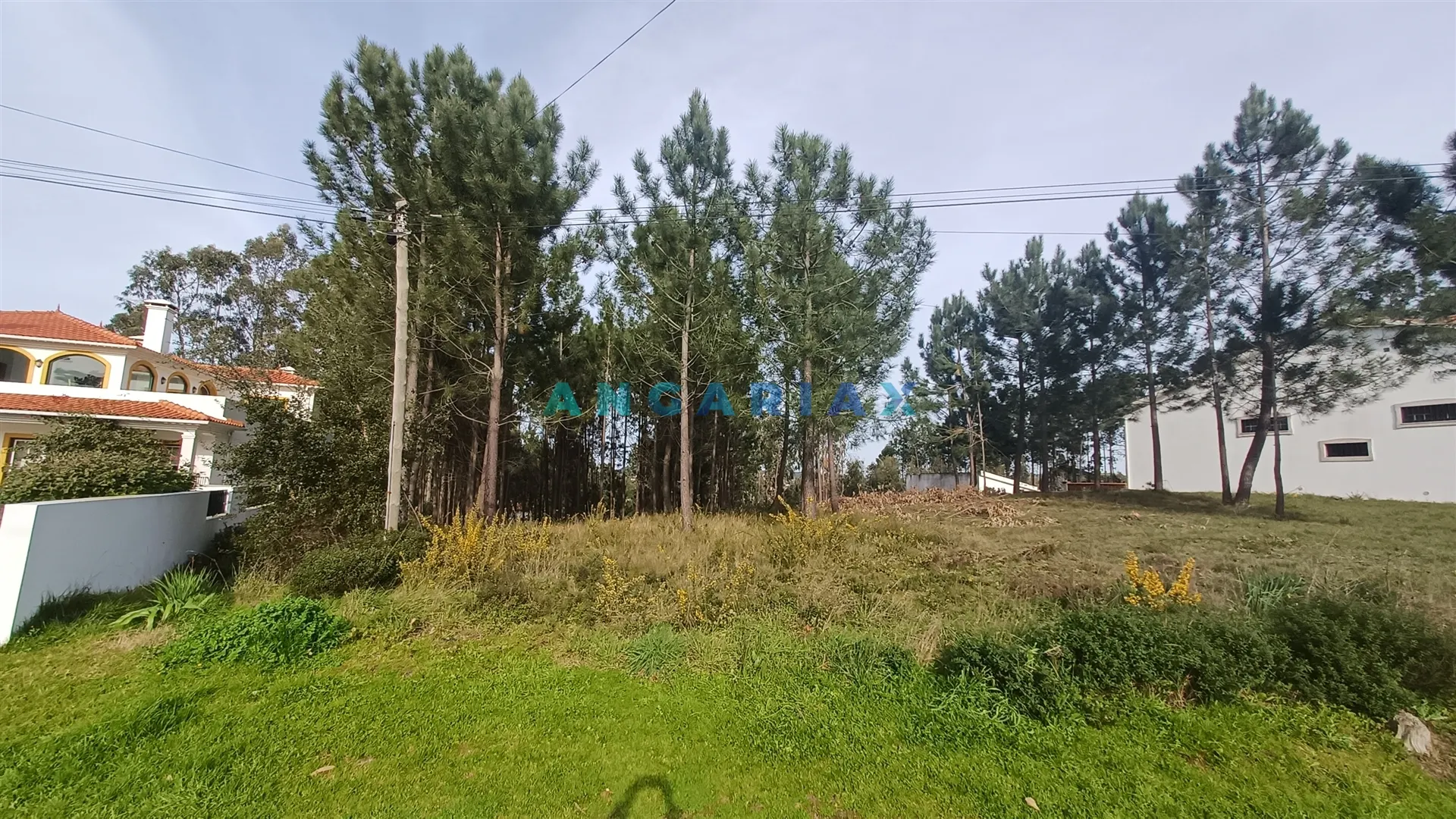 Terreno Urbano T0 - Leiria, Leiria, Leiria - Miniatura: 1/9