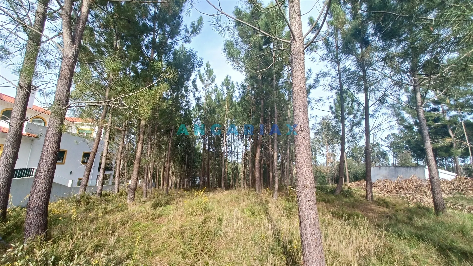 Terreno Urbano T0 - Leiria, Leiria, Leiria - Miniatura: 2/9