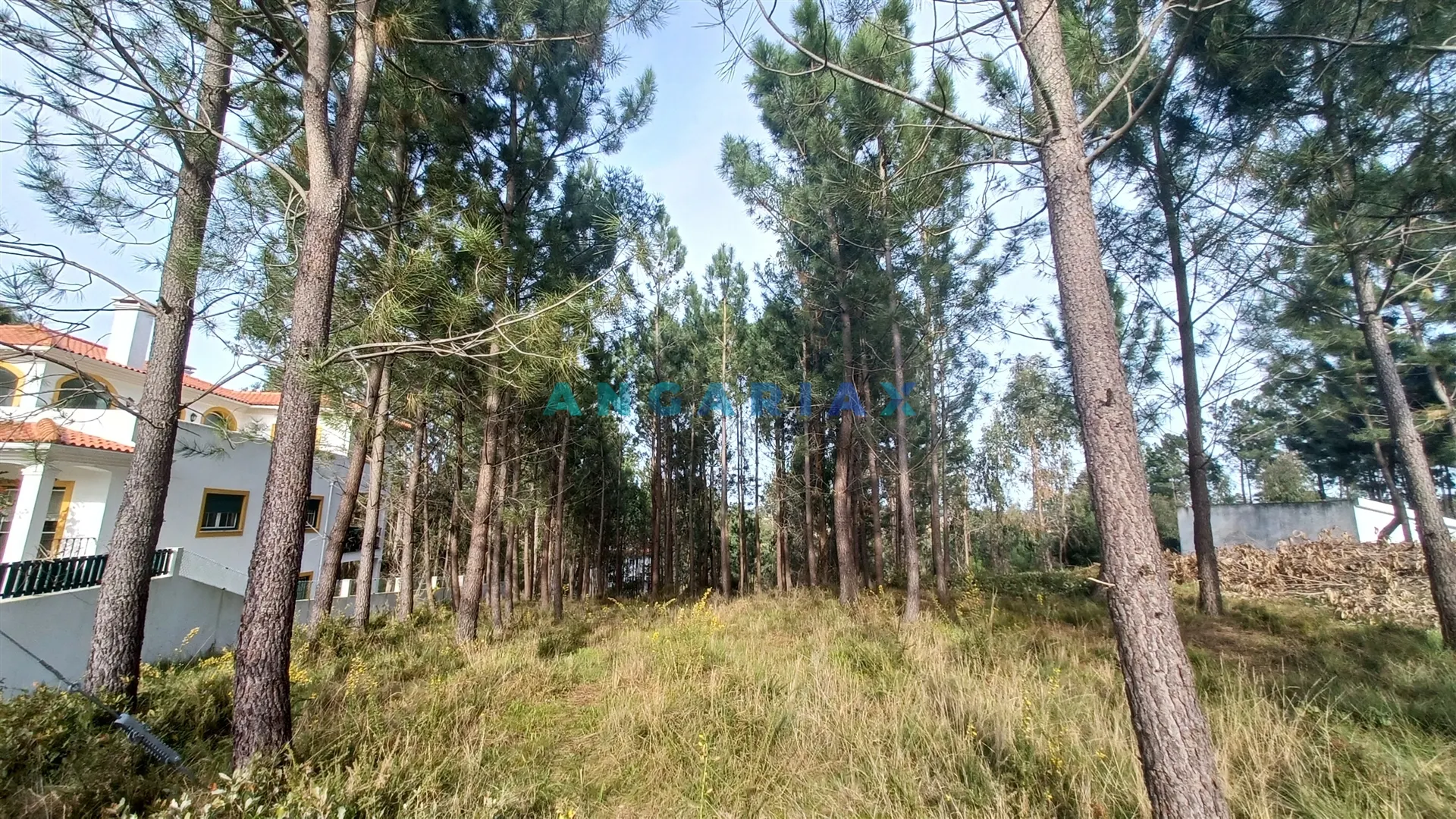 Terreno Urbano T0 - Leiria, Leiria, Leiria - Miniatura: 3/9