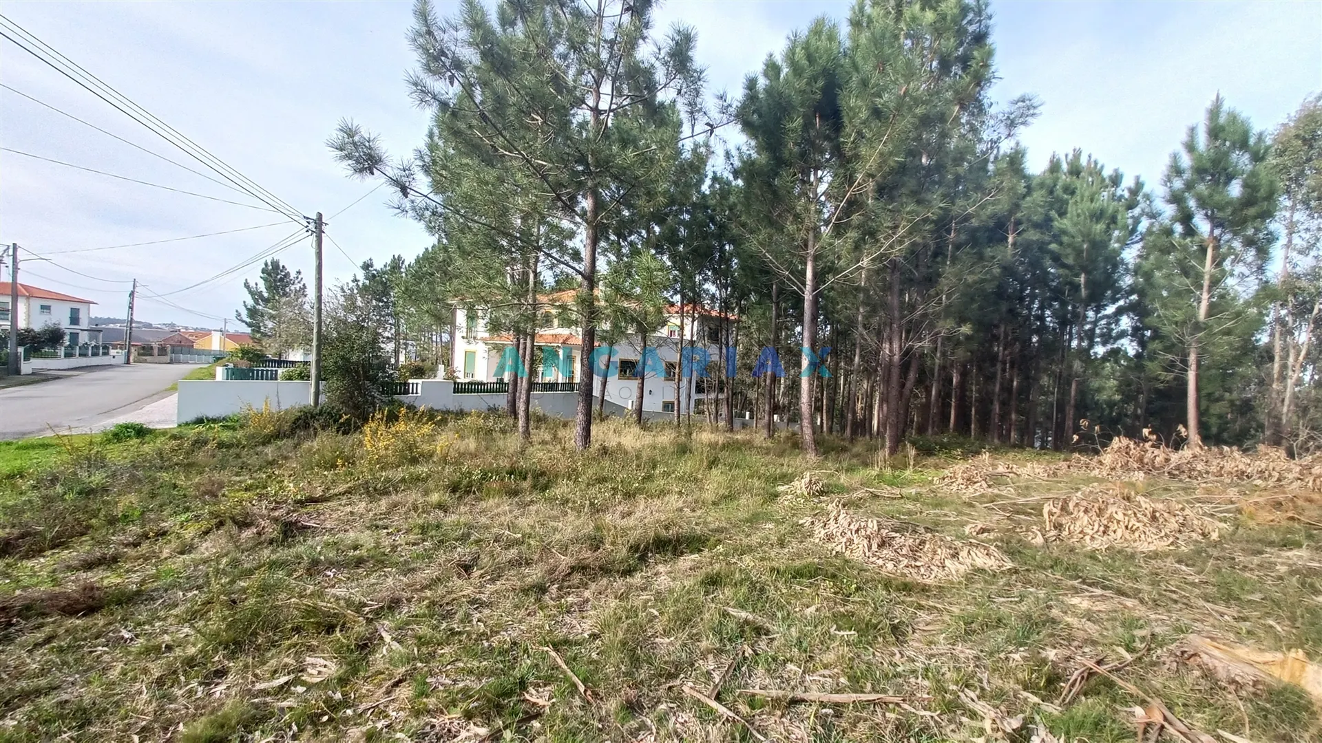 Terreno Urbano T0 - Leiria, Leiria, Leiria - Miniatura: 4/9