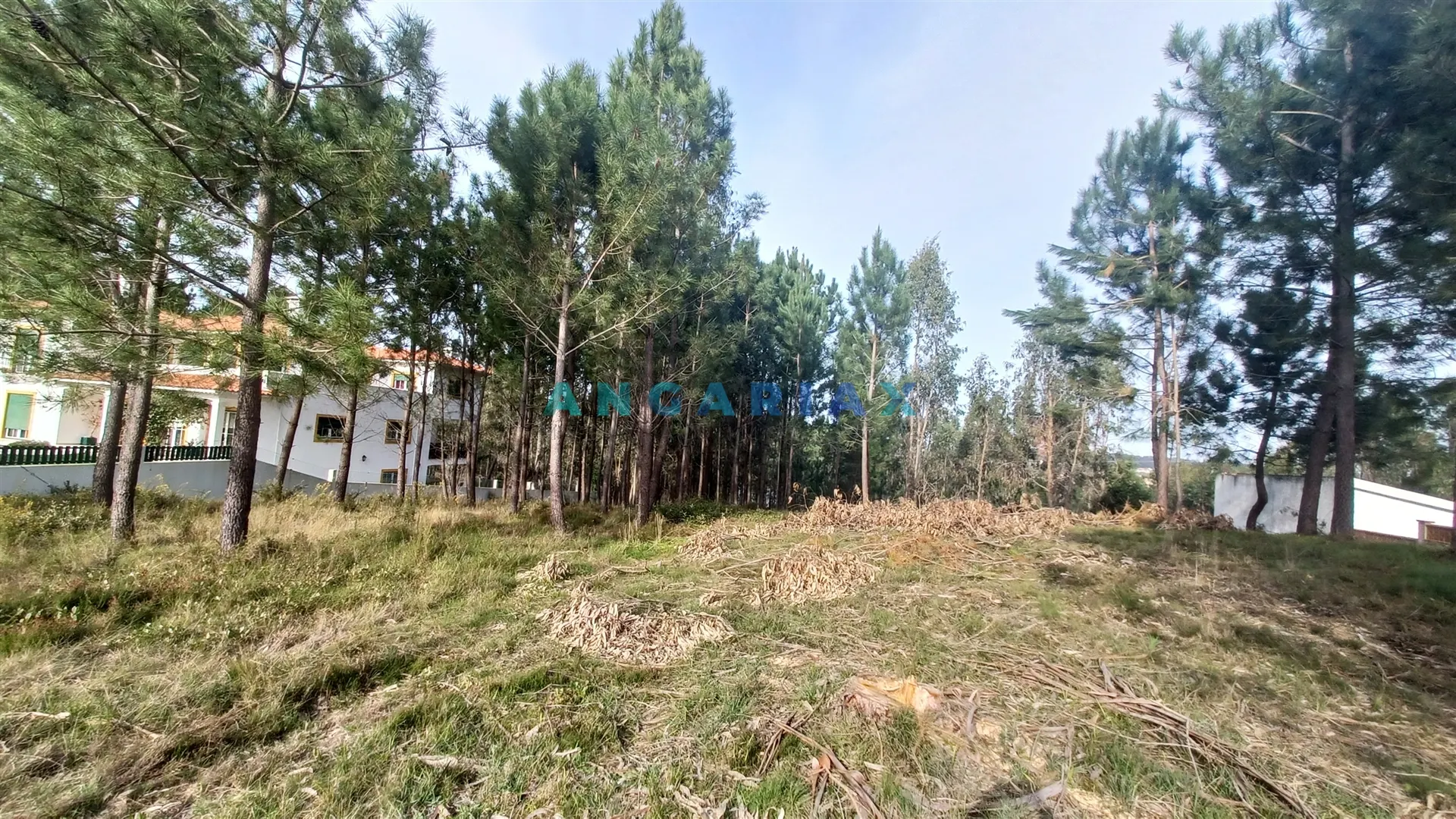 Terreno Urbano T0 - Leiria, Leiria, Leiria - Miniatura: 5/9