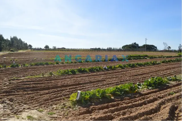 Terreno Urbano T0 - Aveiras de Cima, Azambuja, Lisboa - Imagem grande