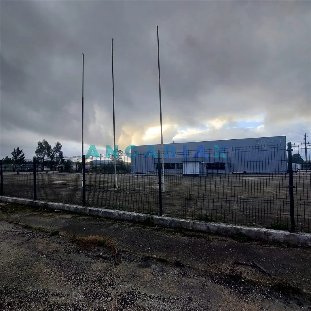 Terreno Urbano T0 - Aljubarrota, Alcobaa, Leiria - Miniatura: 9/9