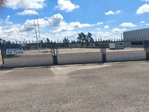 Terreno Urbano T0 - Aljubarrota, Alcobaa, Leiria - Miniatura: 5/9