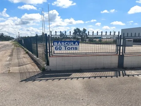 Terreno Urbano T0 - Aljubarrota, Alcobaa, Leiria - Miniatura: 7/9
