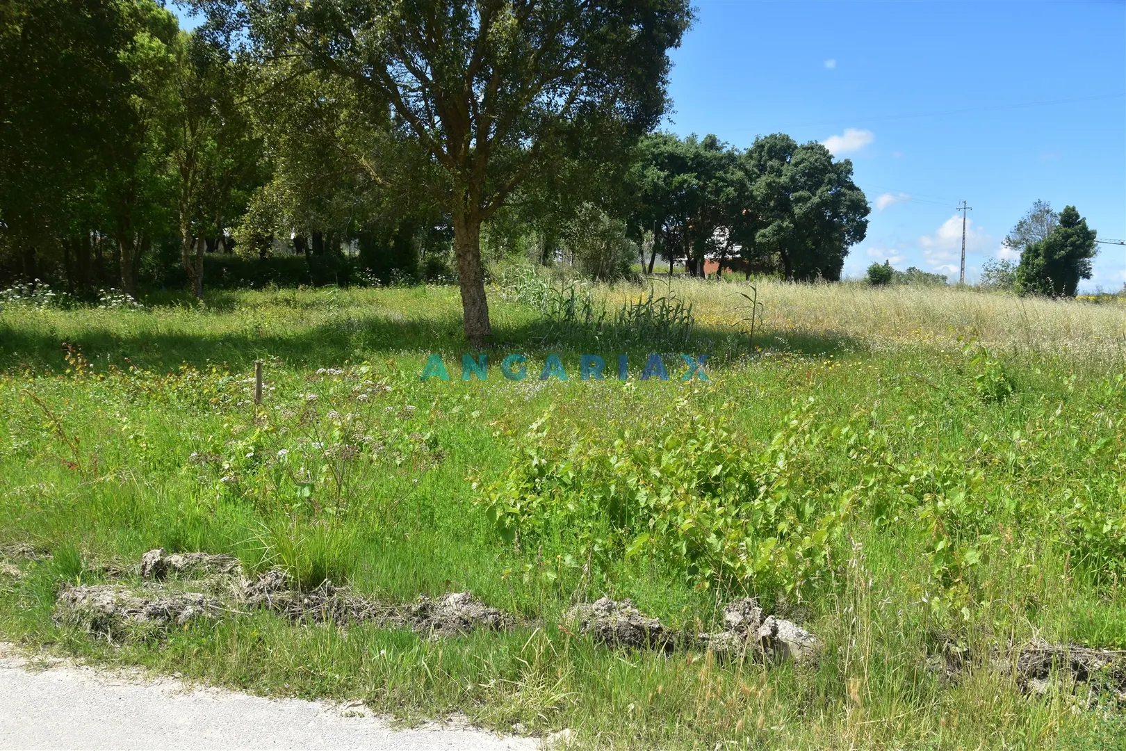 Terreno Urbano T0 - Souto da Carpalhosa, Leiria, Leiria