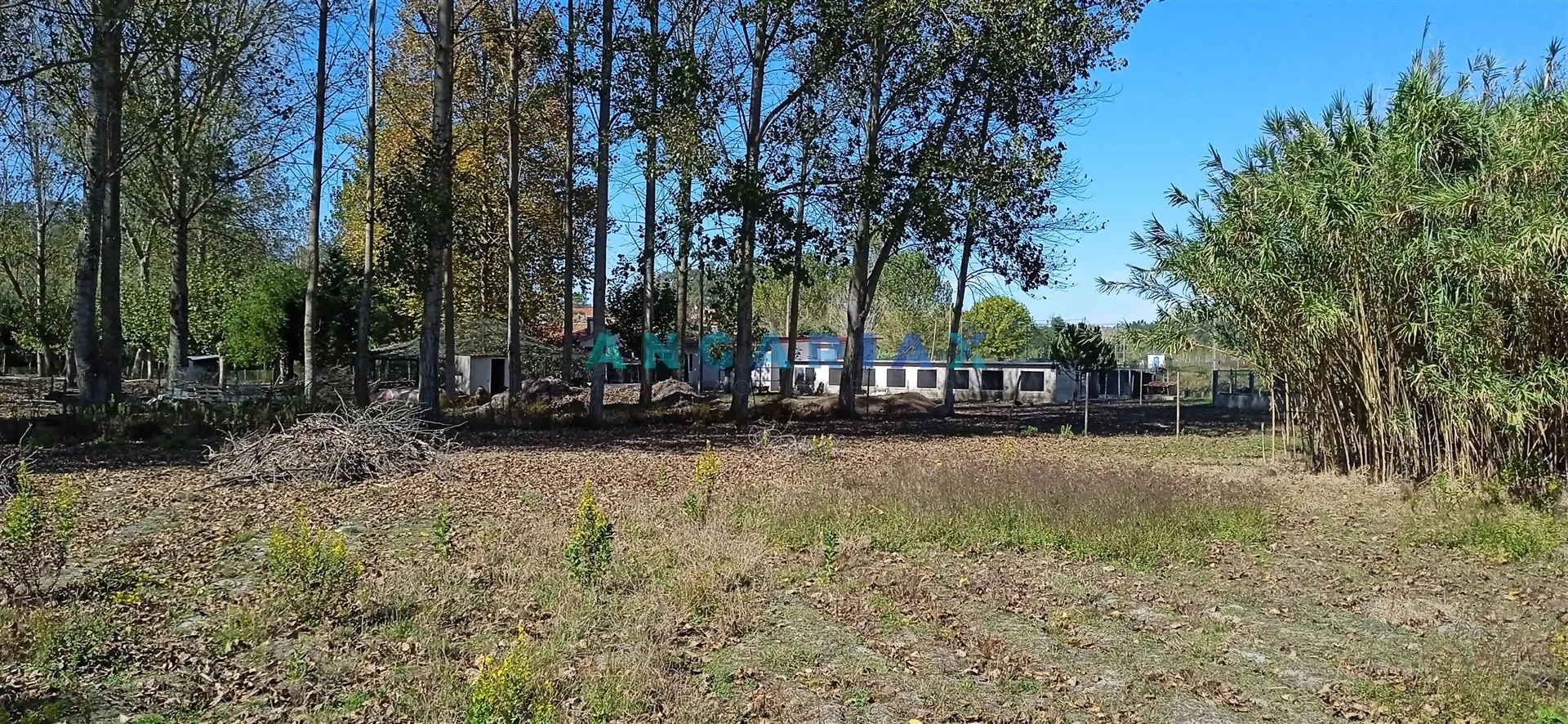 Terreno R�stico T0 - Monte Real, Leiria, Leiria