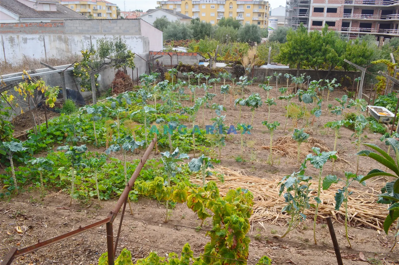 Terreno Urbano T0 - Nossa Senhora de F�tima, Entroncamento, Santar�m