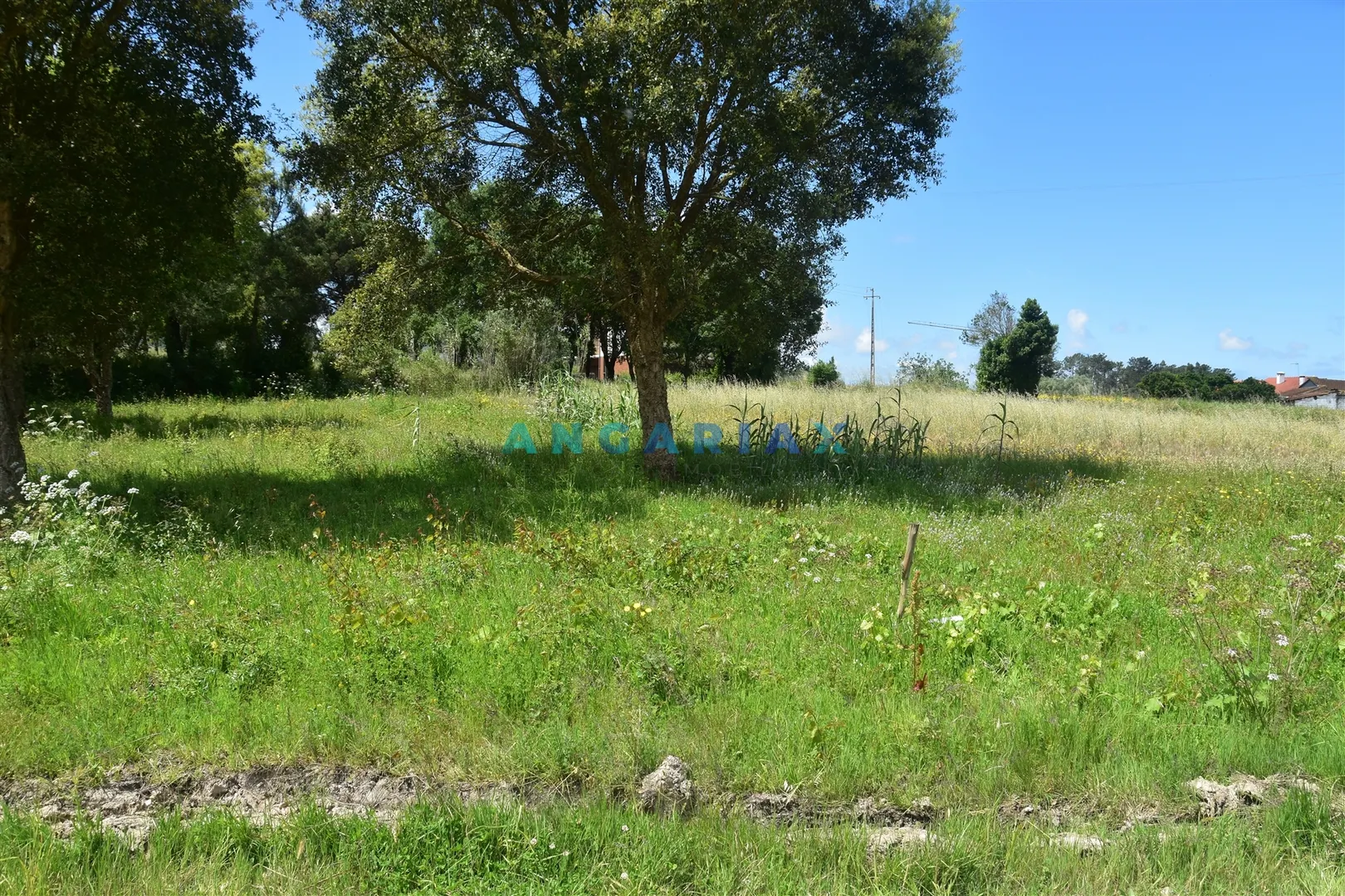 Terreno Urbano T0 - Souto da Carpalhosa, Leiria, Leiria - Miniatura: 2/9