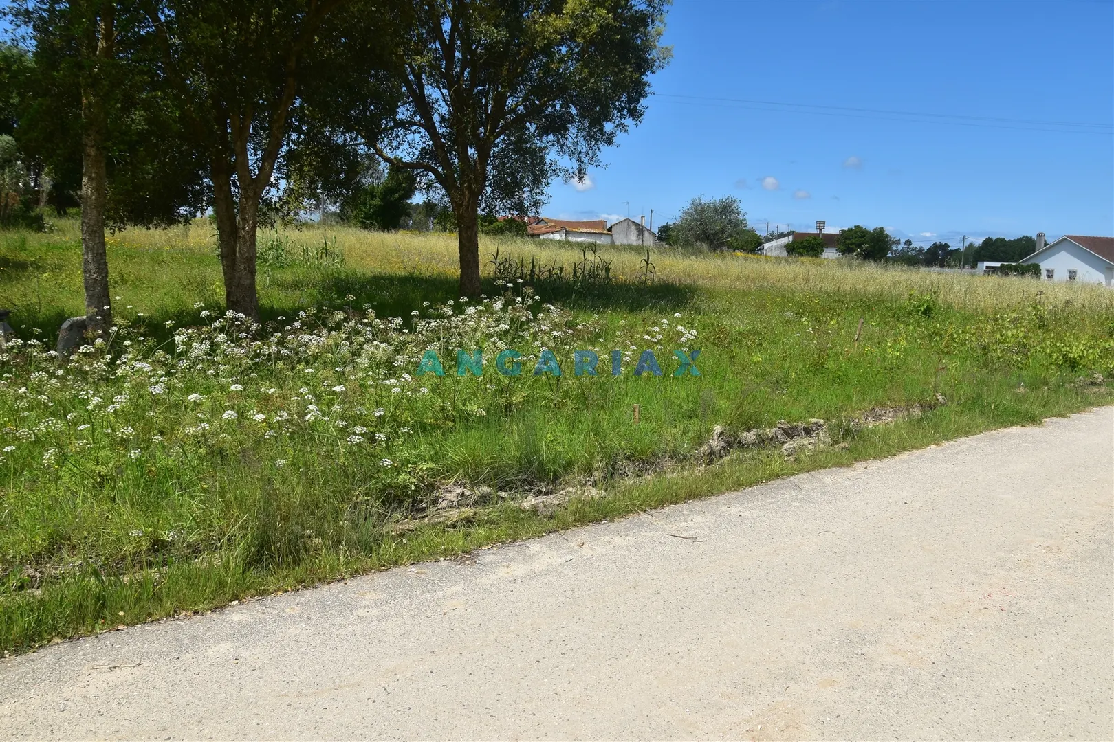 Terreno Urbano T0 - Souto da Carpalhosa, Leiria, Leiria - Miniatura: 3/9