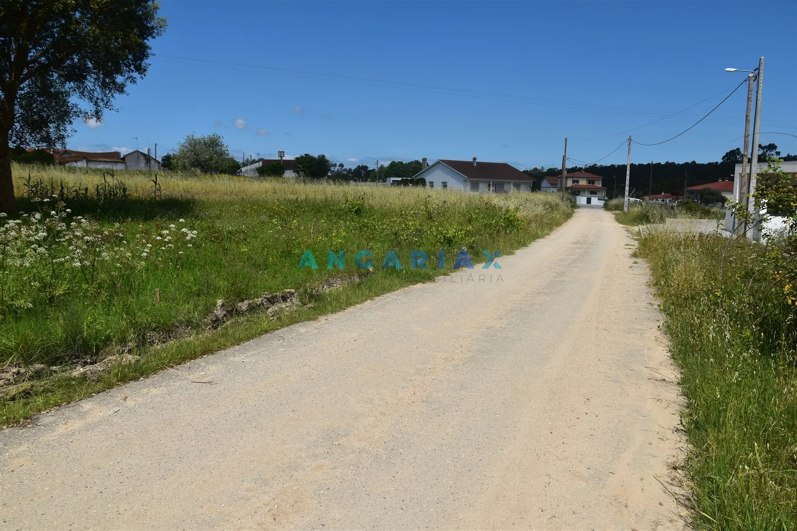 Terreno Urbano T0 - Souto da Carpalhosa, Leiria, Leiria - Miniatura: 4/9