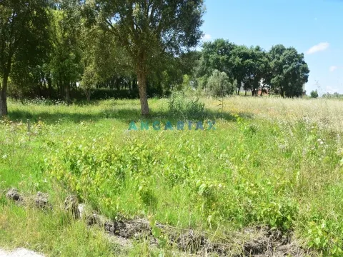 Terreno Urbano T0 - Souto da Carpalhosa, Leiria, Leiria - Miniatura: 6/9