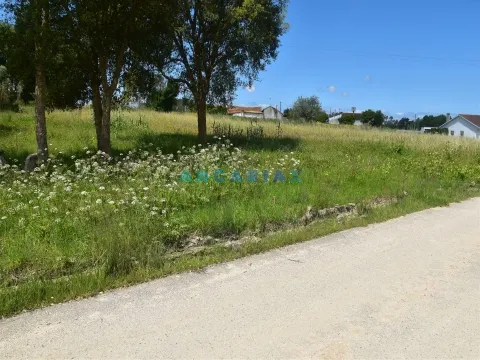 Terreno Urbano T0 - Souto da Carpalhosa, Leiria, Leiria - Miniatura: 8/9
