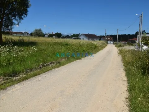 Terreno Urbano T0 - Souto da Carpalhosa, Leiria, Leiria - Miniatura: 9/9