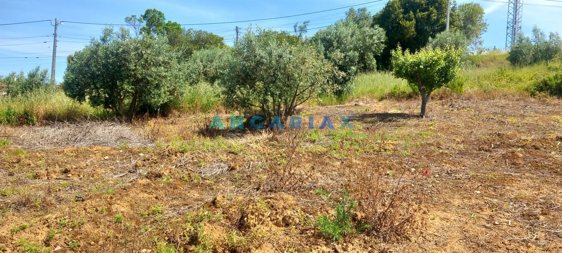 Terreno Urbano T0 - Leiria, Leiria, Leiria - Miniatura: 6/9