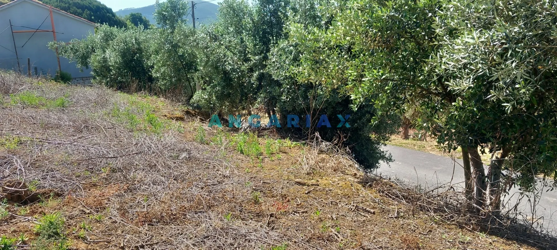 Terreno Urbano T0 - Leiria, Leiria, Leiria - Miniatura: 7/9