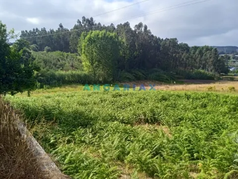 Terreno Urbano T0 - Maceira, Leiria, Leiria - Miniatura: 3/9
