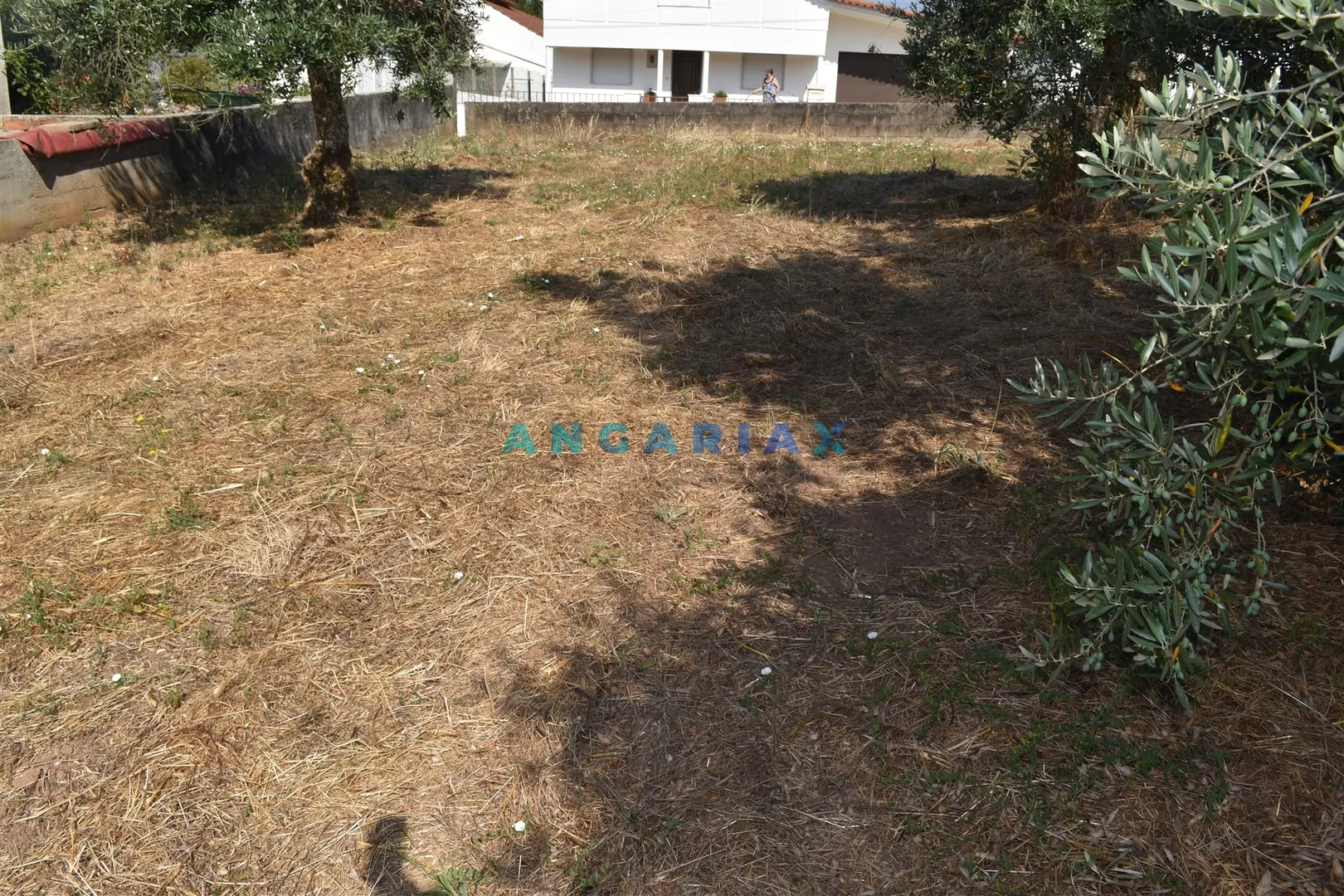 Terreno Rstico T0 - Aguda, Figueir dos Vinhos, Leiria - Miniatura: 3/9
