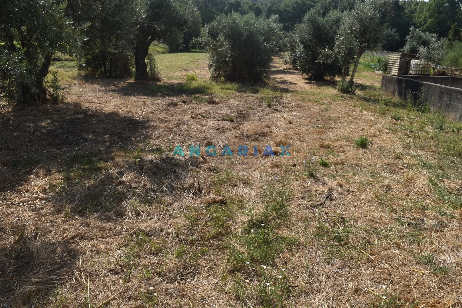 Terreno Rstico T0 - Aguda, Figueir dos Vinhos, Leiria - Miniatura: 4/9