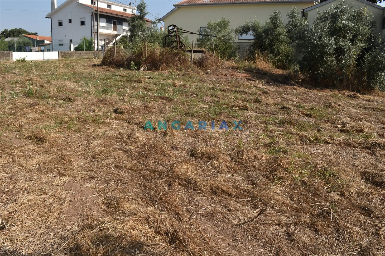 Terreno Rstico T0 - Aguda, Figueir dos Vinhos, Leiria - Miniatura: 5/9