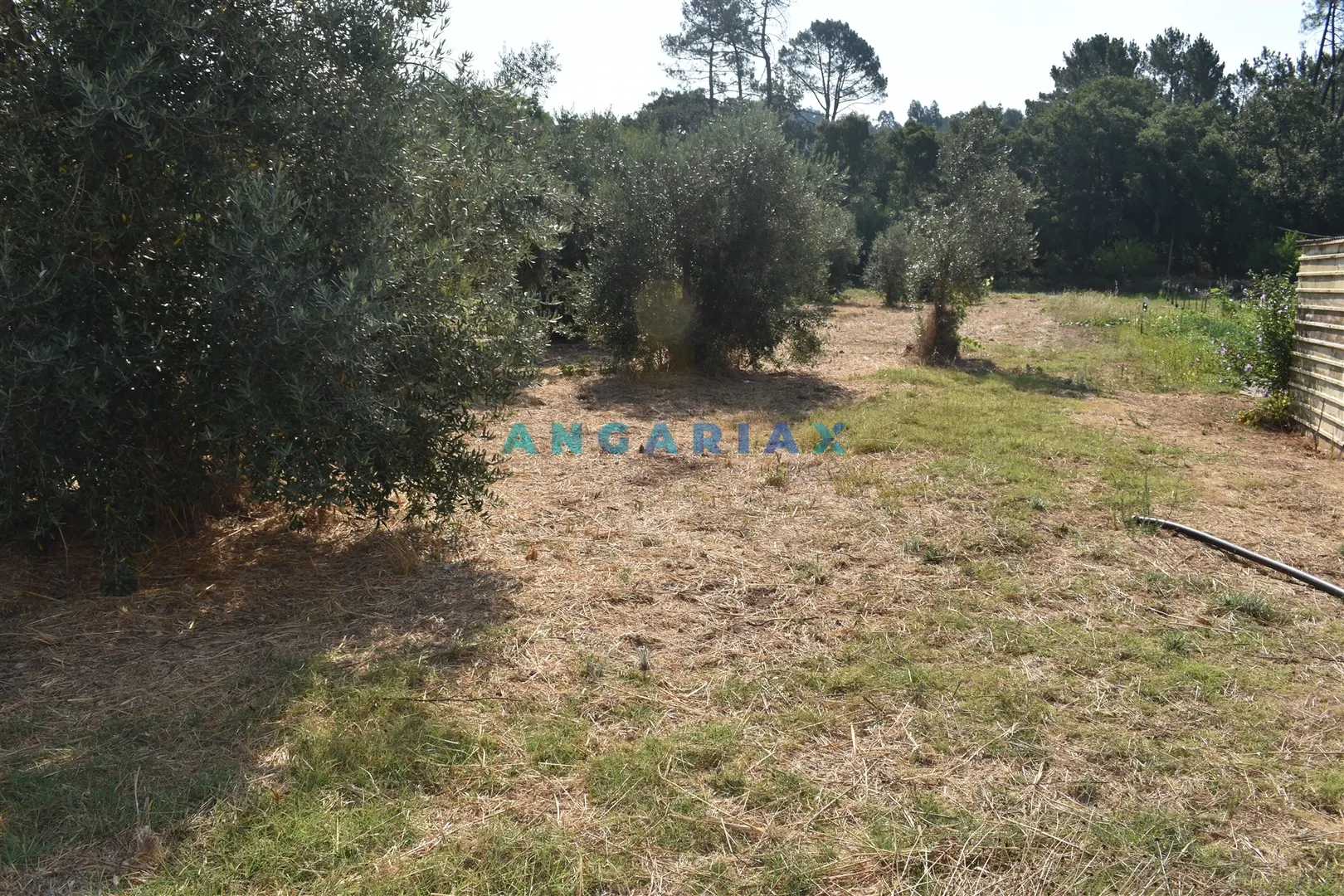 Terreno Rstico T0 - Aguda, Figueir dos Vinhos, Leiria - Miniatura: 6/9