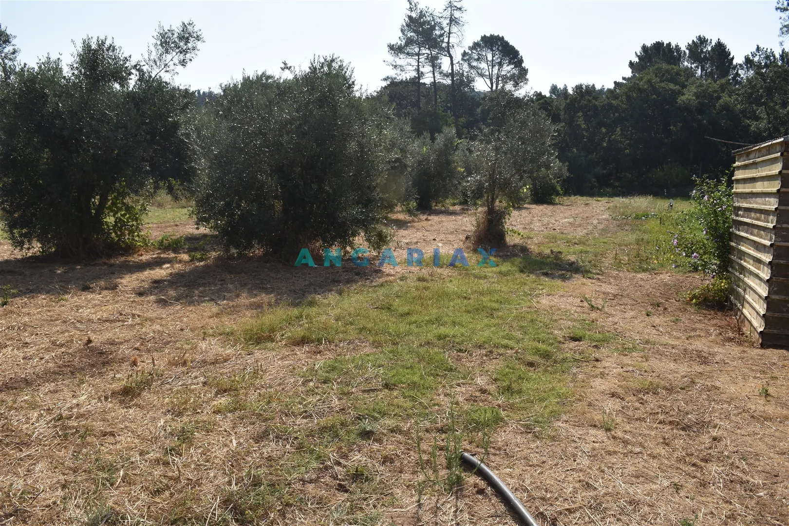 Terreno Rstico T0 - Aguda, Figueir dos Vinhos, Leiria - Miniatura: 7/9