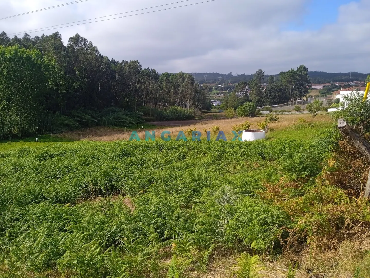 Terreno Urbano T0 - Maceira, Leiria, Leiria - Miniatura: 5/9